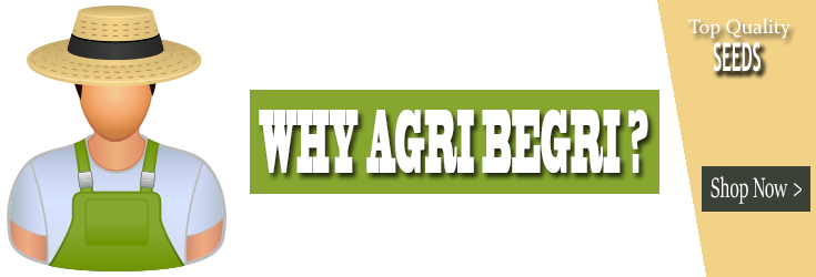 Why Agri Begri Banner