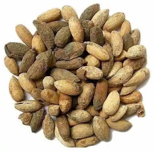 NEEM SEED