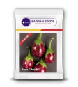 Sarpan Brinjal 55 F1 Hybrid Brinjal Seeds, Purple Striped And Non Spiny, Manjari Type.