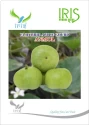 Iris Vegetable Seeds, F1 Hybrid Apple Gourd (Tinda) Anmol Verity, Round Shape