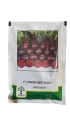 Kalash Beetroot KSP 5340 Jackson F1 Hybrid Seeds , Upright With Wider Adaptability (Expiry 16-04-2024)