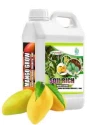 MANGO GROW Mango Microbial Consortia-MMC, Helps In Plant Growth And Development, Specially For Mango