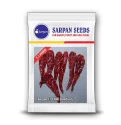 Sarpan Dandicut 2 F1 Hybrid Chilli Seeds, Shiny Green Fresh and Dark Red Dry Fruits