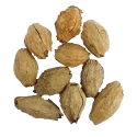 RK Seeds Melia Dubia Seeds, Malabar Neem Treated Seeds. Multipurpose Use, Fast Growing tree ,Malaivembu tree seed ,plywood and pulp wood tree seeds