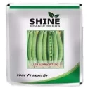 Pea - SS10 (Imported) shine brand seeds, Matar ke beej, Dark Green Color Grain