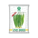 VNR F1 Hybrid Sahiba Chilli Seeds, Light Green High Glossy Fruits And High Pungency