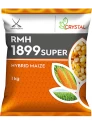 Crystal F1 Hybrid RMH 1899 Super Corn Seeds, Orange With Yellow Cap, Dent Grain Color