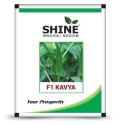 Shine Brand Seeds Okra - Kavya F1 Bhindi Seeds, Green In Color, Good Vigorous, Prolific Branching