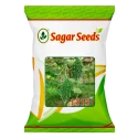 Sagar 1515 Hybrid Bitter Gourd Seeds, Dark Green and Uniform Fruits, High Yield Variety Seeds