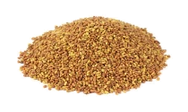 Alfalfa Seeds Medicago Sativa - Luceme Grass Seeds Kuthiraimasal Grass Seeds 