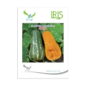 Iris Nikki F1 Hybrid Butternut Seeds, Oblong Fruits, Orange Flesh And High Yield Variety