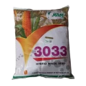 Rasi Seed F1 Hybrid 3033 Maize Seed, Uniform Cobs, Good Tip Filling And Bright Orange Color