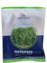 Advanta Nutrifeed Pac 981 Multicut Forage Millet Seeds, High Yield And High Quality Fodder