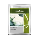 Syngenta F1 Hybrid Shuhasini Cauliflower Vegetable Seed, Dome Shaped Compact White Curd (2000 Seeds)