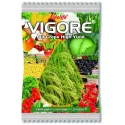 Geolife Vigore Superior Organic Yield Enhancer, Increasing Crop Production, Complete Plant Development From Root to The Shoot