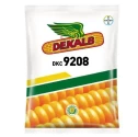 Bayer Dekalb Corn DKC 9208 Seed, High Yielding Spring Hybrid, Corn Seeds.  