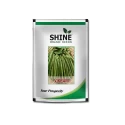 Bush Bean Vikram - Shine Brand Seeds, Vegetable Seeds, Excellent Germination Quality