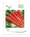 Iris Hybrid Carrot Vegetable Seeds, Excellent Germination, Used For Indoor And Outdoor Gardening