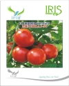 Iris F1 Hybrid Meghraj 96 Tomato Seeds, Tolerant To TYLCV And Bacterial Wilt