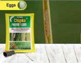 Chipku Pheromone Trap Funnel with Scriptophaga Incertulas Lure to Catch Insect, Moth Yellow Rice Stem Borer (YSB) and Brinjal Fruit & Shoot Borer Moth