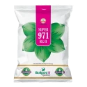 Super 971 Hybrid Cotton Seeds, Bollgard ll Technology, Early to Medium Maturity (475 Gm)