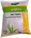 Sygenta F1 Hybrid NK 7660 Corn Seeds, High Shelling Recovery With A High Test Weight