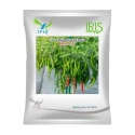 Iris IHS-2727 F1 Hybrid Hot Pepper Seeds, Medium Pungency, High Yield And Disease Resistant