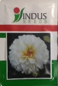 Indus Bijilee Shubhra Seeds, Bijilee Fool Ke Beej, Bijilee Seeds, Very Good Quality.