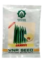 VNR Janhvi F1 Hybrid Bhindi Seeds, Okra Seeds, Bhendi Seed, Attractive Dark Green Tender Fruit.