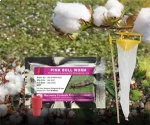 ACTIVE IPM Funnel Trap + Pink Bollworm Pheromone Lure, Pest Control Tool for Pectinophera gossypiella