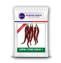 Sarpan Hybrid Sarkar 9 Chiili Seeds, Dual Purpose Byadgi Variety, Medium Pungent & Deep Bright Red with High Wrinkles