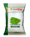 Excellar EX SHIVAM Cluster Bean Seeds, Has Long, Shiny, And Attractive Green Pods