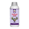 EBS Verticillium Lecanii Bio Pesticide, Used To Make Biological Insecticides. It Is Primarily Used To Control Greenhouse Aphids, Whiteflies.