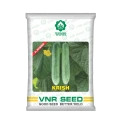 VNR Krish F1 Hybrid Cucumber Seeds, Kakdi ke Beej, Attractive Green Fruit, Cylindrical Shape