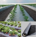 Global Polyplast Mulch Film, Mulching Sheet (1.2 Meter width x 400 Meters Length)