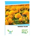 Iris Hybrid Marigold Yellow Flower Seeds, Genda Ka Beej For Garden Plants (15 Seeds)