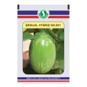 Sungro Brinjal Hybrid No.801 , Green And Blotches Color Brinjal Seed, Oblong Shape