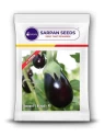 Sarpan Brinjal-95, F1 Hybrid Brinjal Seeds, Very High Yielding, Manjari Type Spiny