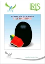 Iris Hybrid Fruit Seeds, F1 Hybrid Watermelon Lal Badshah, Black Color Blocky Segment