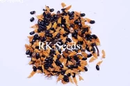 RK Seeds - Australian Teak Seeds, Acacia mangium Tree Seed,  Black Wattle, Hickory Wattle, Mangium, Forest Mangrove, Natural seeds