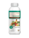 Grownol (Triacontanol 0.1% EW Organic Plant Growth Regulator) 1000 PPM Enhances Photosynthesis, Root Growth, Enhances Enzymatic Activity