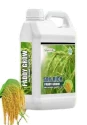 PADDY GROW Amruth Paddy Microbial Consortia PMC, Paddy Special, Bio-Fertilizer, Plant Growth and Development