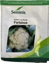 Seminis F1 Hybrid Fortaleza Cauliflower Seeds, Well Suited For Winter Harvest (2000 Seeds)