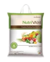 Nutrivam Phosphate Mobilizing Mycorrhizal Fungicide, For Improving plant growth and yield