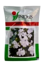 Indus Seeds Vinca Snow White Flower Seed, Well Suited For Pots And Beds, White Color Flower 