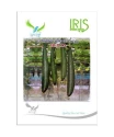 Iris Hybrid Vegetable Seeds F1 Hybrid Delta Sponge Gourd , Ghiya Ke Beej, Good Germination.