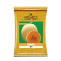 Advanta F1 Hybrid Guru Muskmelon Fruit Seeds, Round and Deep Organge Fruit 