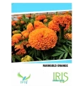 Iris Hybrid Marigold Orange Flower Seeds, Genda Ka Beej For Garden Plants (15 Seeds)