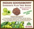 Pioneer Agro Industry Indian Gooseberry Amla, Usiri, Nelli Tree Seed       