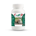 Cough Plus Fortified with Vitamins with Cough Medicine for Goat and Sheep Animal Feed Supplements